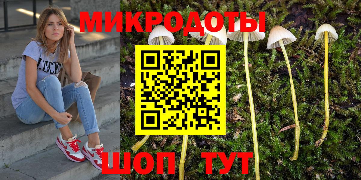 Ессентуки  Псилоцибиновые грибы Psilocybe  Вход с VPN 