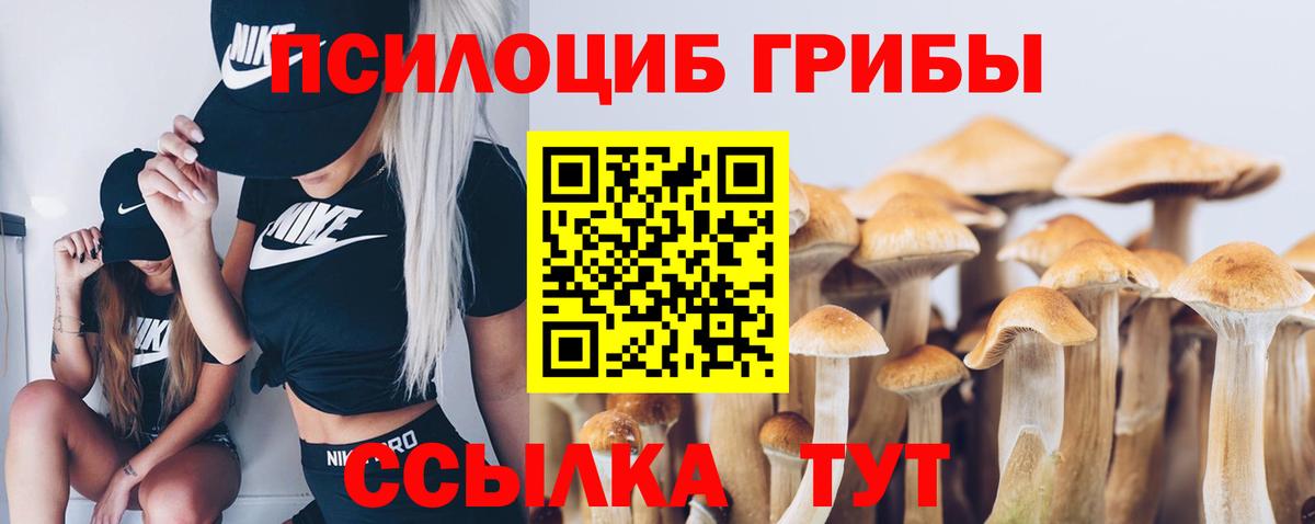 Галлюциногенные грибы Magic Shrooms Ессентуки